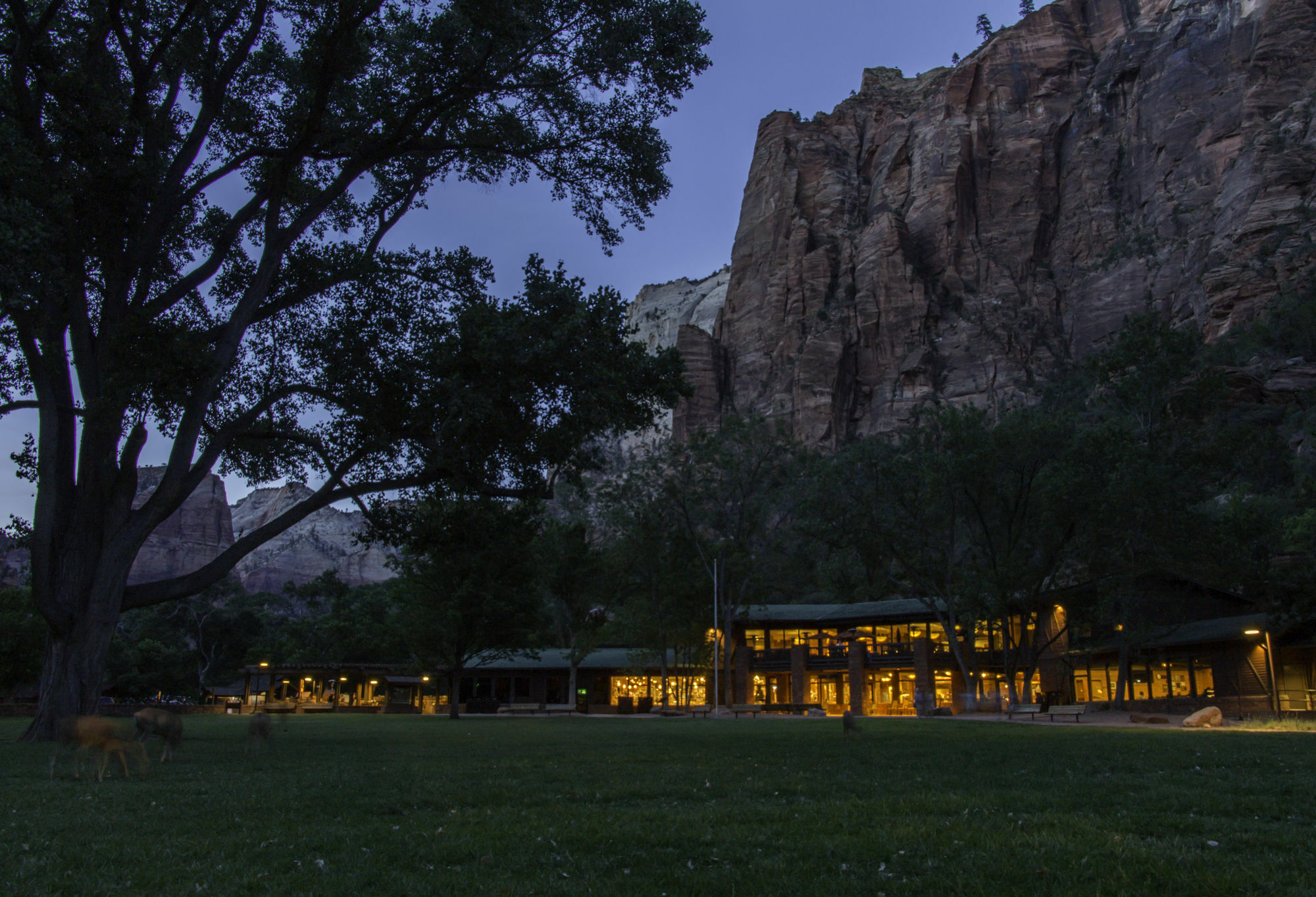 Zion Lodge Springdale Exterior foto