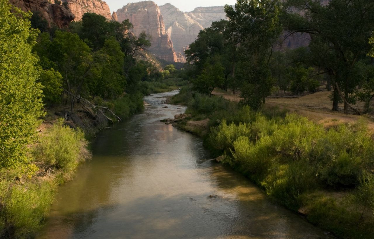 Zion Lodge Springdale Exterior foto